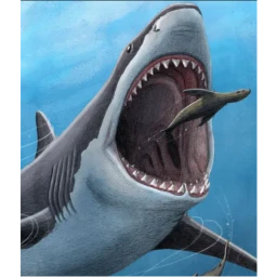 Shark Simulator icon