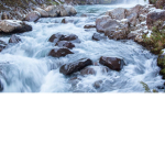 Freshwater Elements