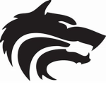 Hyper wolf studios