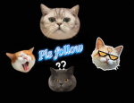 Pls follow my Roblox account