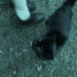 ⊱✿⊰