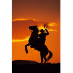 Curse cowboy