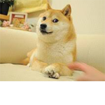 The Dogecoin Club