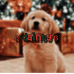 ⋆ʚ dainty ɞ⋆