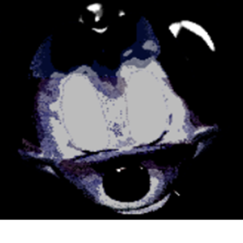 fnati imagined (canceled)