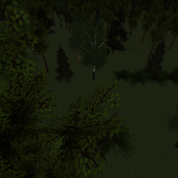 The Forest