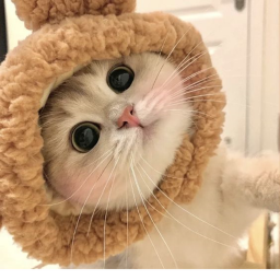 hai ^_^