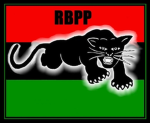 Chicago Black Panthers
