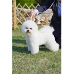 동림초등학교