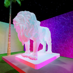 MIAMI HOUSE