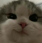 M3OW0