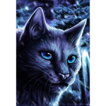 Animal Academy for Animal Humans