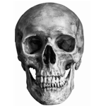 The people of the plague.