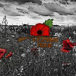 Ιn Flanders Fields