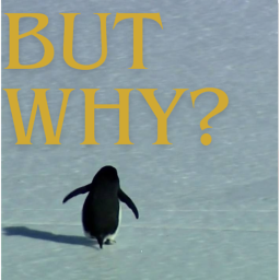 Nihilist Penguin Obby!