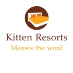 Kitten Resorts 🐱