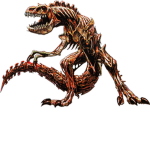 bony rex