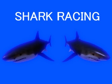 SHARK RACING