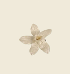 Adopt Me - giveaway -