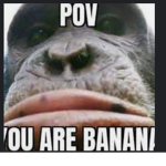 MONKEY MILITARY Monke Monke Monke