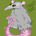 Possum Posse