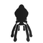 Black and white squid