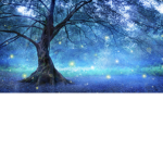 the forest [Official Group]