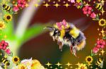 The buzzing beehive!