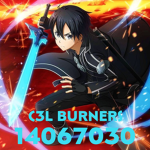 C3L BURNERS