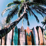 aesthetically flxral