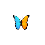 Butterfly twins squad