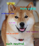 THE DOGE BOI’S BABY THE KING OF DOGGOS