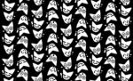 Duckieee’s cult <3