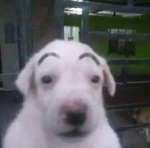 PandoSs