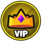 👑 VIP