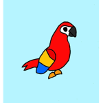 Pióra Papugi