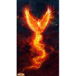 Phoenix---Clothes