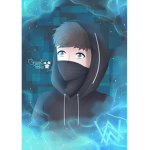 heidnvr gaming