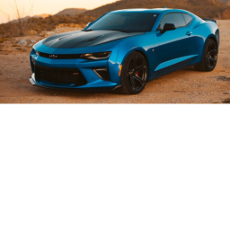 Cars of the Living