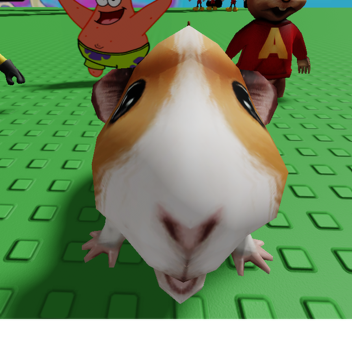 Hampster happy game