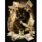 it's raining cat's