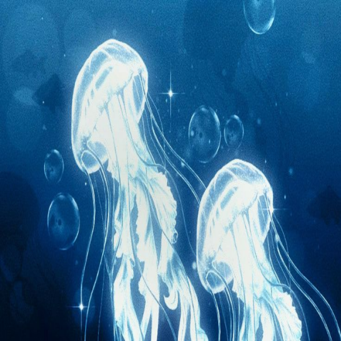 jelly fishes ocean white Roblox decal