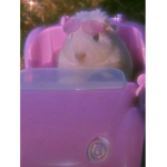 Mini Mouse group XD