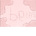 bellascutxegroup