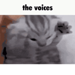 ᴄᴜʟᴛ ᴏꜰ ꜱᴇʙɪᴍᴏᴛᴀ.