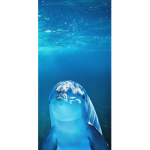 Satuy
