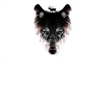 The Wolf Revelation