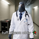 tuff pigeon doctor