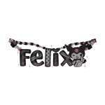 felix necklace 1.0