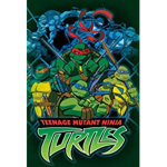 Official TMNT GROUP!
